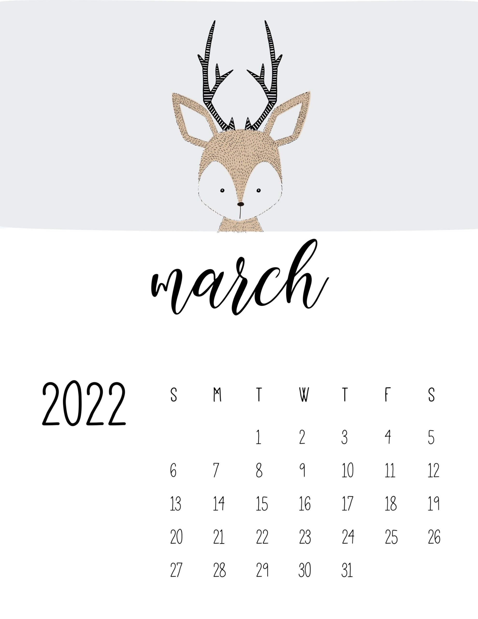 calendario 2022 animais marco