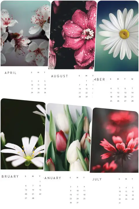 Calendario 2022 flores para imprimir