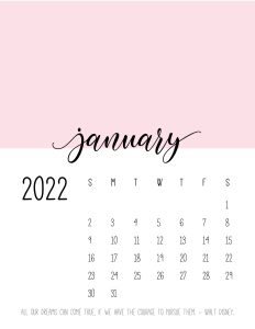 calendario 2022 cores janeiro