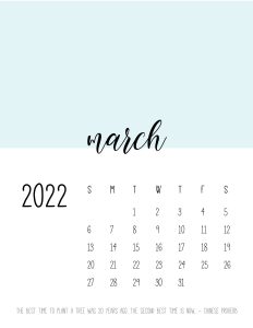 calendario 2022 cores marco