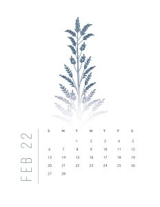 calendario 2022 flores suaves fevereiro 1