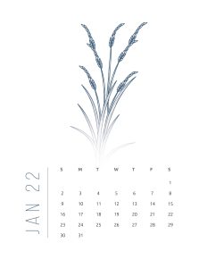 calendario 2022 flores suaves janeiro 1
