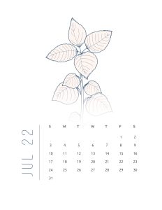 calendario 2022 flores suaves julho 1