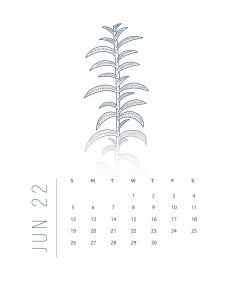 calendario 2022 flores suaves junho 1
