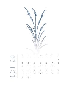 calendario 2022 flores suaves outubro 1