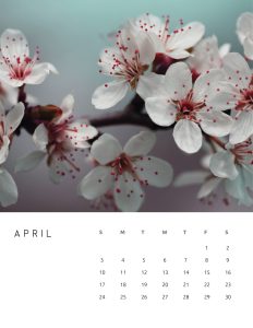 calendario 2022 foto flores abril