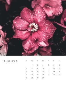 calendario 2022 foto flores agosto