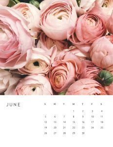calendario 2022 foto flores junho