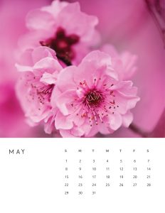 calendario 2022 foto flores maio