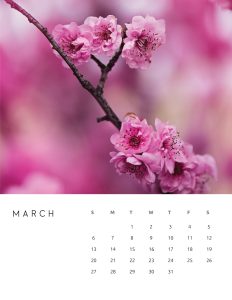 calendario 2022 foto flores marco