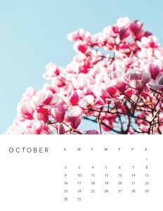 calendario 2022 foto flores outubro