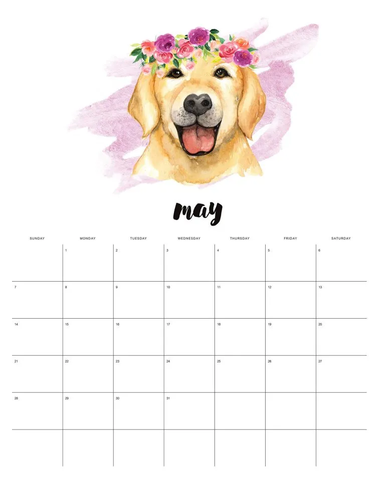 calendario 2023 animais aquarela maio
