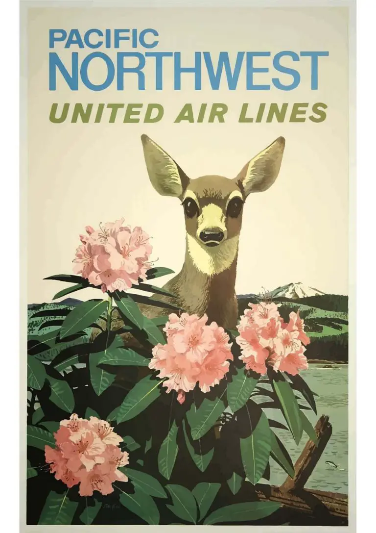 Poster Vintage Pacífico para imprimir